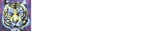 タイガー模型　一宮店